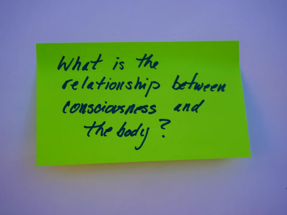 BCSP: States of Consciousness — photo 19
